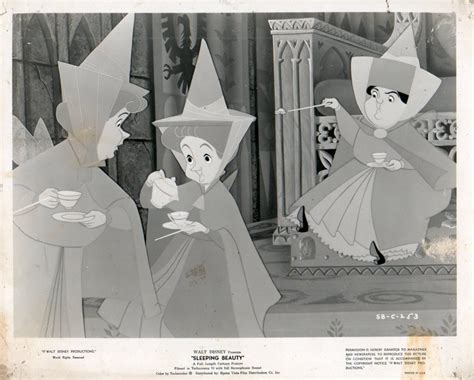 Original Walt Disney Sleeping Beauty La Bella Durmiente Walt Disney