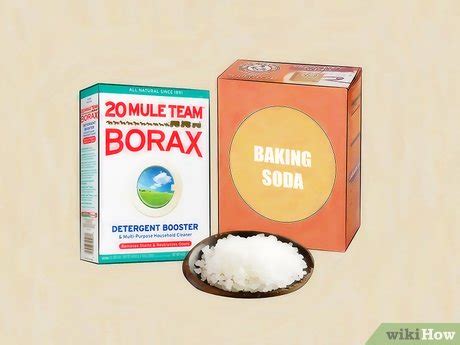 How to Kill Mold With Vinegar: 14 Steps (with Pictures) - wikiHow