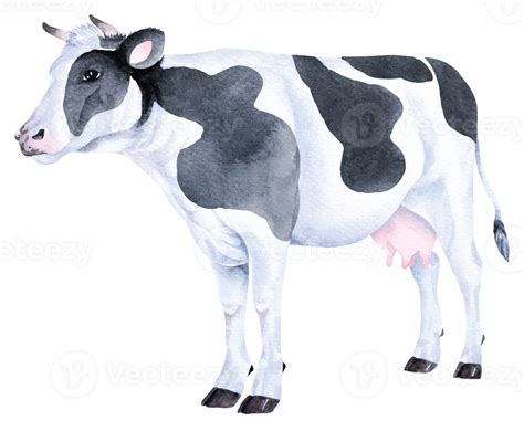 Cow Watercolorfarms Animal 34383645 Png