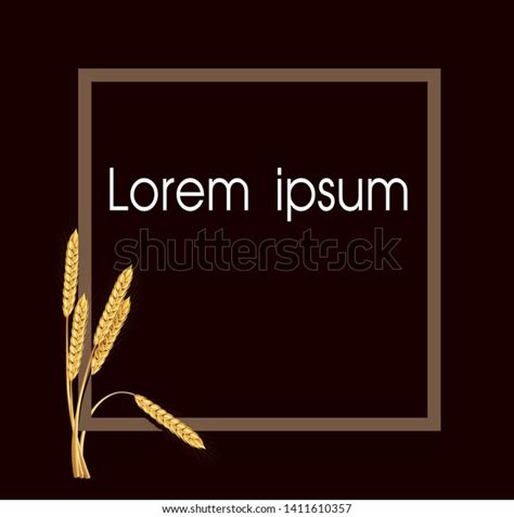 Paddy Rice Malt Barley Wheat Square Stock Illustration