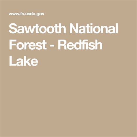 Sawtooth National Forest Redfish Lake National Forest Sawtooth