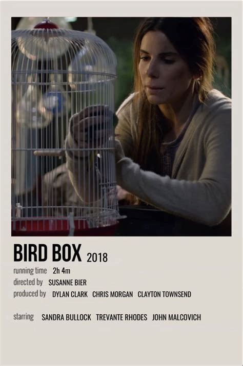 bird box | Film posters minimalist, Iconic movie posters, Bird boxes