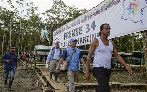 Así Viven Los Guerrilleros De Las Farc Desmovilizados En Colombia