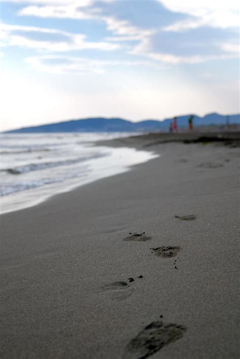 footprints on beach 12640696 Stock Photo at Vecteezy