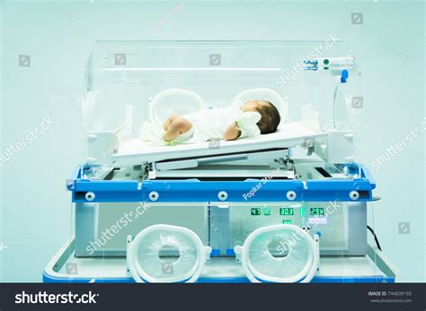 New Born Baby Incubator Hospital Stock Photo Shutterstock