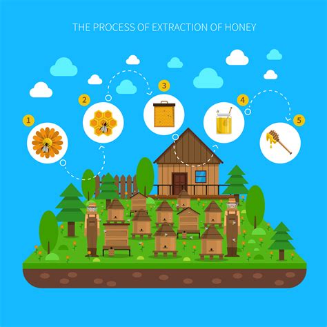 Process Of Honey Extraction Concept 466476 Vector Art at Vecteezy