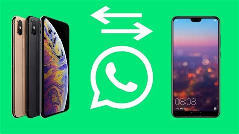 WhatsApp Bilgilerinizi Android den IPhone a Aktarmanın 5 Yolu Oyun