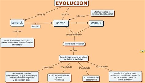 Descubre la Teoría de la Evolución en un Mapa Mental Teoría Online