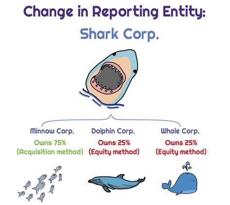 Accounting For Changes In Reporting Entity Universal Cpa Review