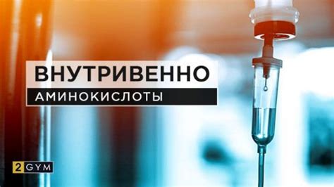 Экдистерон в бодибилдинге — подробный гайд от Ю. Бомбелы