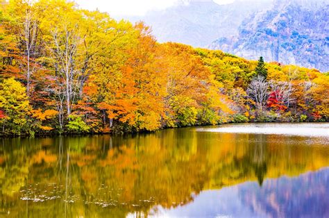 Download free photo of Japan,kagamiike,togakushi,autumnal leaves,nagano ...