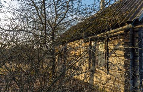 Abandoned Wooden House in the Woods Stock Image - Image of countryside, outdoor: 234986271