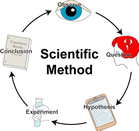 Mapa Conceptual Metodo Cientifico Hypothesis Scientific Method Images