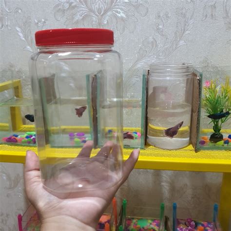 Jual Toples Plastik Kotak Ikan Cupang Liter Shopee Indonesia