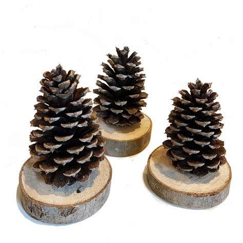 What I Live For: Pine Cone Christmas Tree Decor