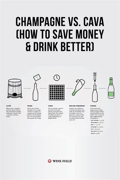 Champagne vs. Cava (How To Save Money & Drink Better) | Wine Folly