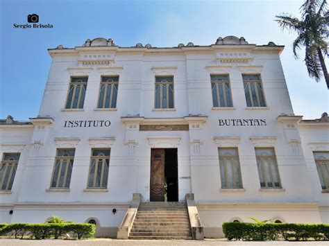 Instituto Butantan Edif Cio Vital Brazil Biblioteca Descubra