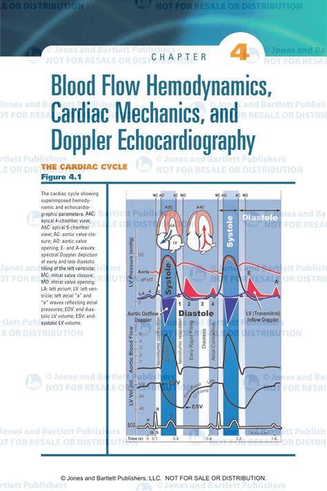 Blood Flow Hemodynamics Cardiac Mechanics And Doppler