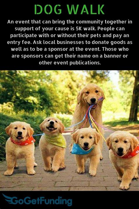 10 Most Recommended Fundraising Ideas For Animal Shelters 2024