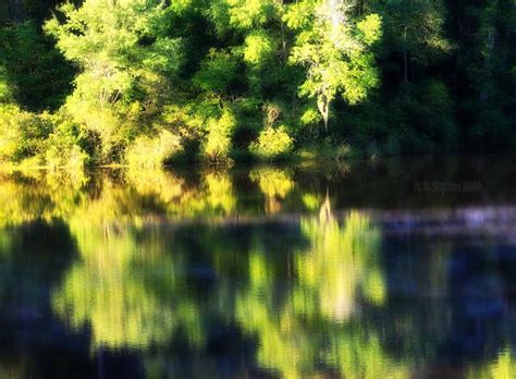 The Meaning of a Dream | All Ears with Terrance McKnight | WQXR