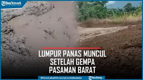 Viral Lumpur Panas Muncul Setelah Gempa Pasaman Barat Youtube