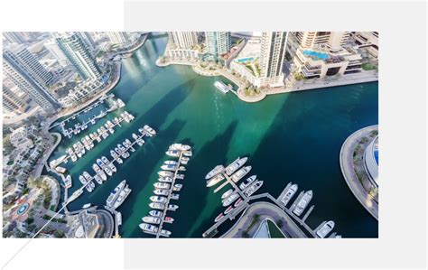 Dubai Marina Area Guide Maple And Rose