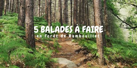 Balades Faire En For T De Rambouillet Office De Tourisme De