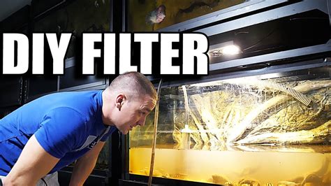 Diy Aquarium Filter In 2 Mins Youtube