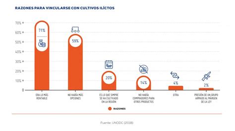 La Paradoja De Los Cocaleros Explotados En La Miseria Y Sin Opciones