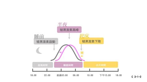 生理時鐘大亂怎麼辦？專家傳授6步驟輕鬆調整作息，睡前少照到「這種光」會更快入眠 風傳媒