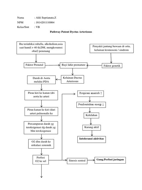 Pathway Patent Dyctus Arteriosus