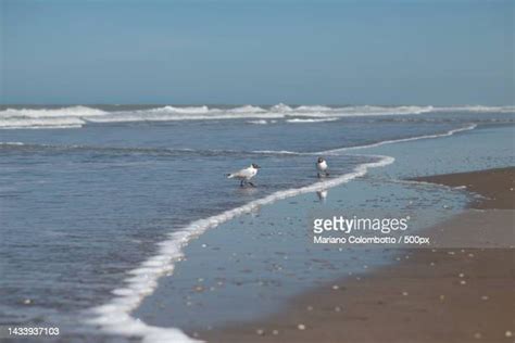 53 Pinamar Beach Stock Photos, High-Res Pictures, and Images - Getty Images