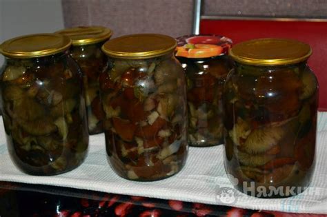 Консервированные опята на зиму рецепт пошаговый с фото - Nyamkin.RU