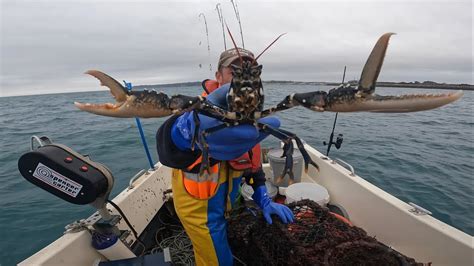 Hauling The Inglorious Fishing Lobster And Crab Pots Bream Fishing