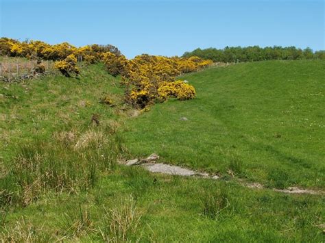 Path To Square Wood © Lairich Rig Cc By Sa 2 0 Geograph Britain And Ireland