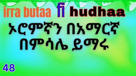 Irra butaa fi hudhaa Learn Afan Oromo in Amharic ኦሮምኛን በአማርኛ ይማሩ