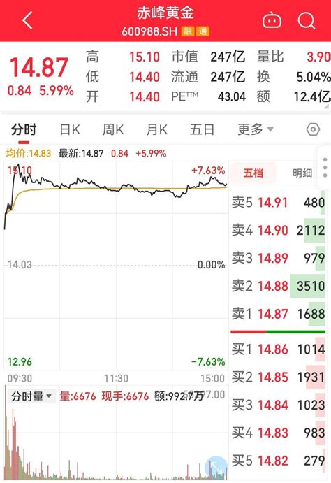 国际黄金价格创历史新高，足金饰品零售价达630元 克 市场 涨幅居前 投资