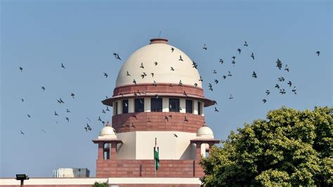 Supreme Court Refuses To Stay Rajasthan Hc Proceedings On Pilots