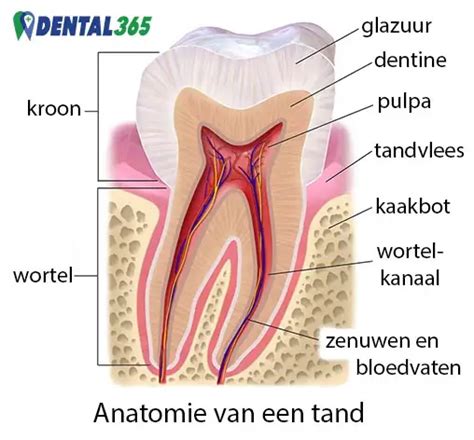 Kiespijn Na Vulling Vervangen Wat Te Doen