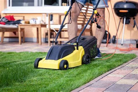 Quelle Type De Tondeuse Choisir Pour Un Jardin De M