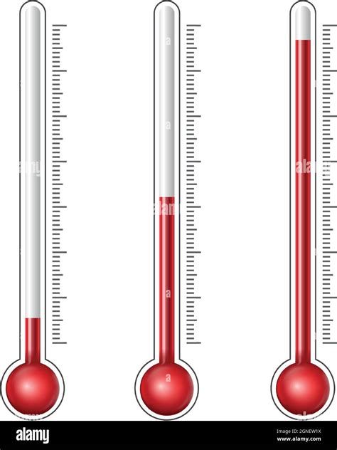 Thermometers Different Levels Stock Vector Image Art Alamy