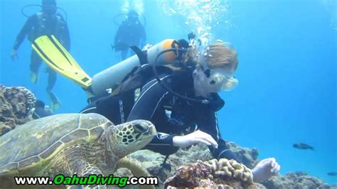 Oahu Scuba Diving Waikiki Diving With Turtles Youtube