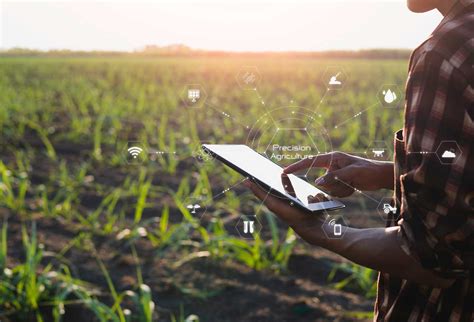 Innovative farming techniques to watch in 2024 - Agriculture.co.zw