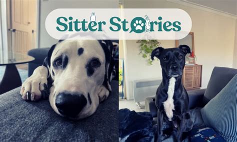 Sitter Stories: Meet Cecelia from Sydney