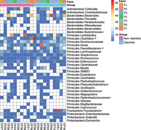 Heat Map Showing The Relative Abundance Of Most Abundant Genera In Download Scientific