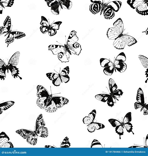 Seamless Pattern Of Different Butterflies Stock Vector Illustration