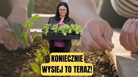 Co siać w drugiej połowie kwietnia Przegląd ogródka Pokazuje moje