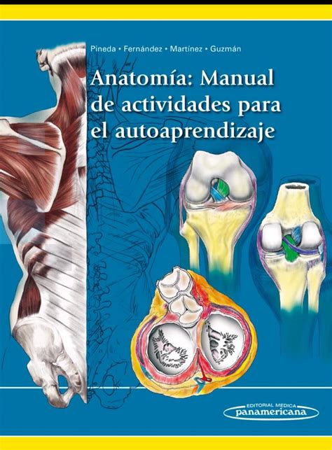 Pdf Anatom A Manual De Actividades Para El Autoaprendizaje