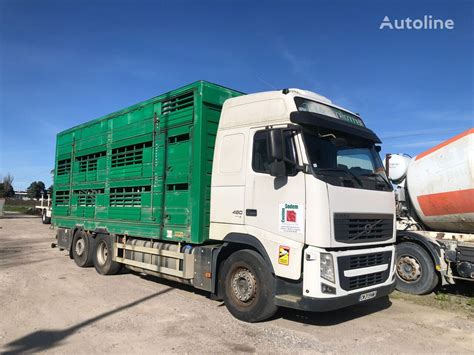 Volvo FH 480 livestock truck for sale France Saint Désirat WM39415