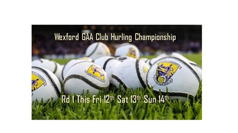 Round 1 Wexford GAA Club Hurling Championship: Full list of this ...